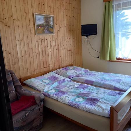 Apartman Na Polesi 데슈트네 프 오를리츠키흐 호라 외부 사진