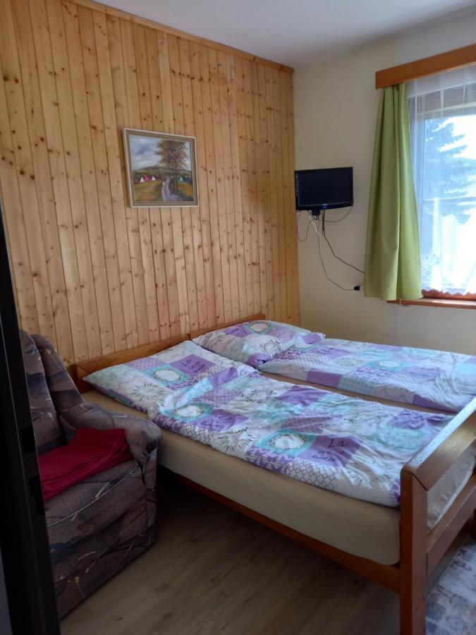 Apartman Na Polesi 데슈트네 프 오를리츠키흐 호라 외부 사진